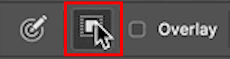 The object selection tool in the Adjustment Brush makes ai selections in Photoshop