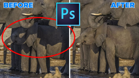 how to remove shadows in photohop , photography tutorials in photoshop
